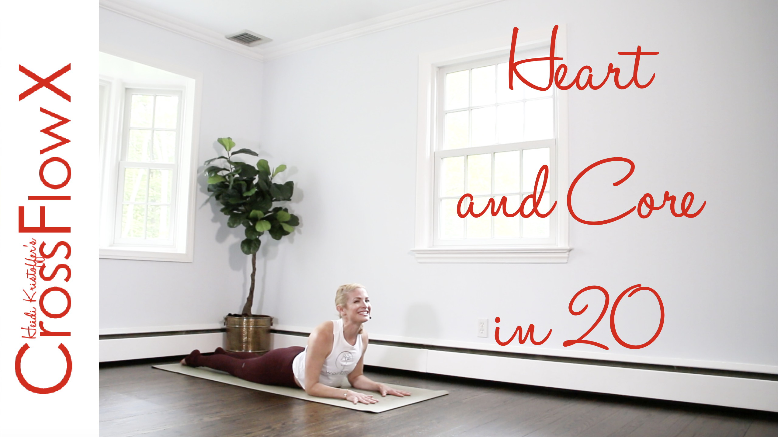 CrossFlowX™: Heart and Core in 20