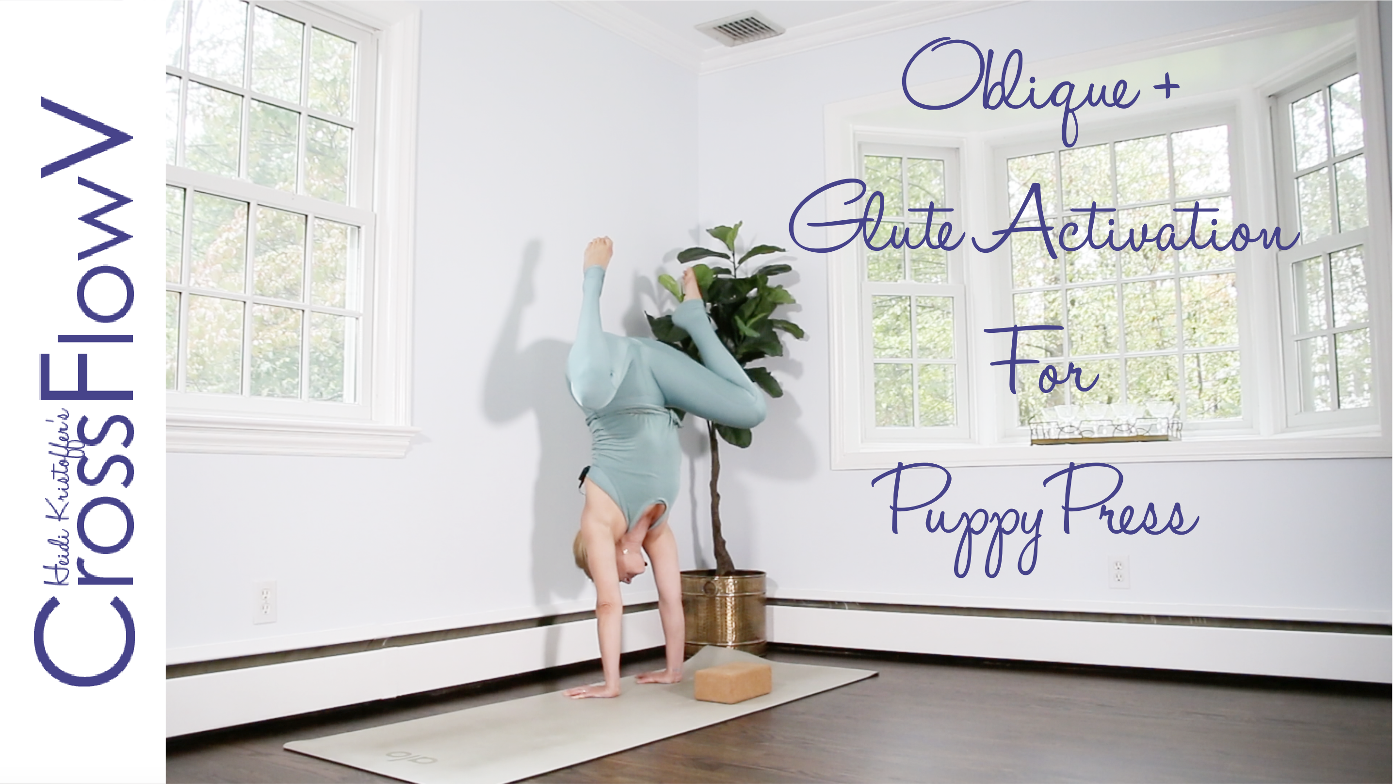 CrossFlowV: Glute + Oblique Activation for Puppy Press