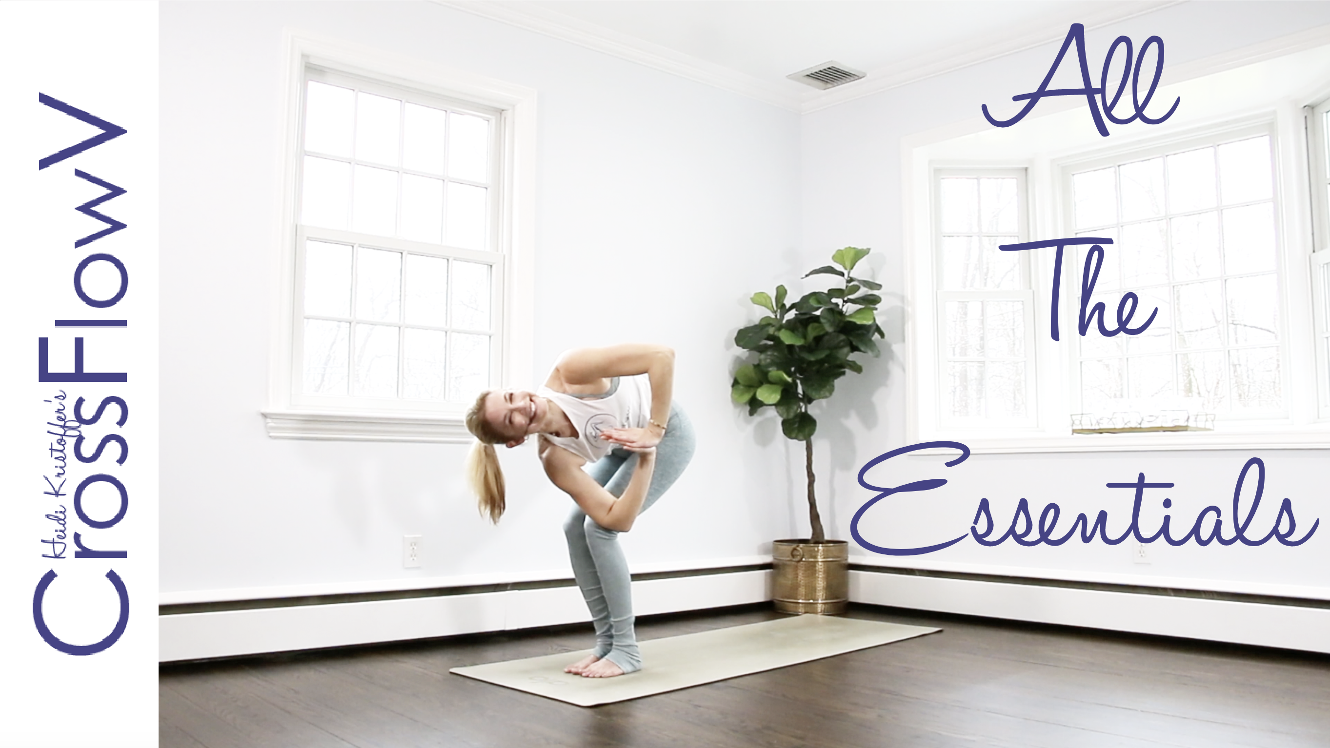 CrossFlowV: All The Essentials