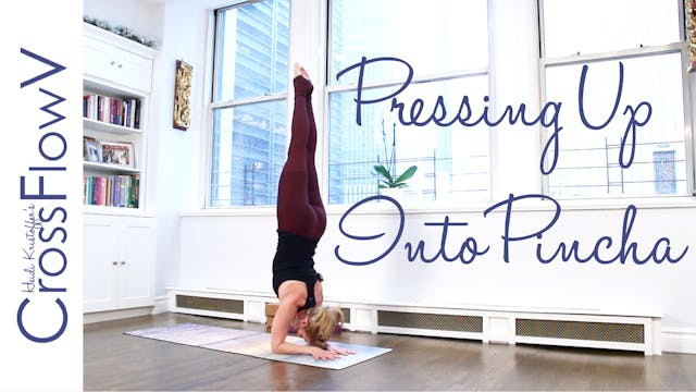 CrossFlowV: Pressing Up Into Pincha