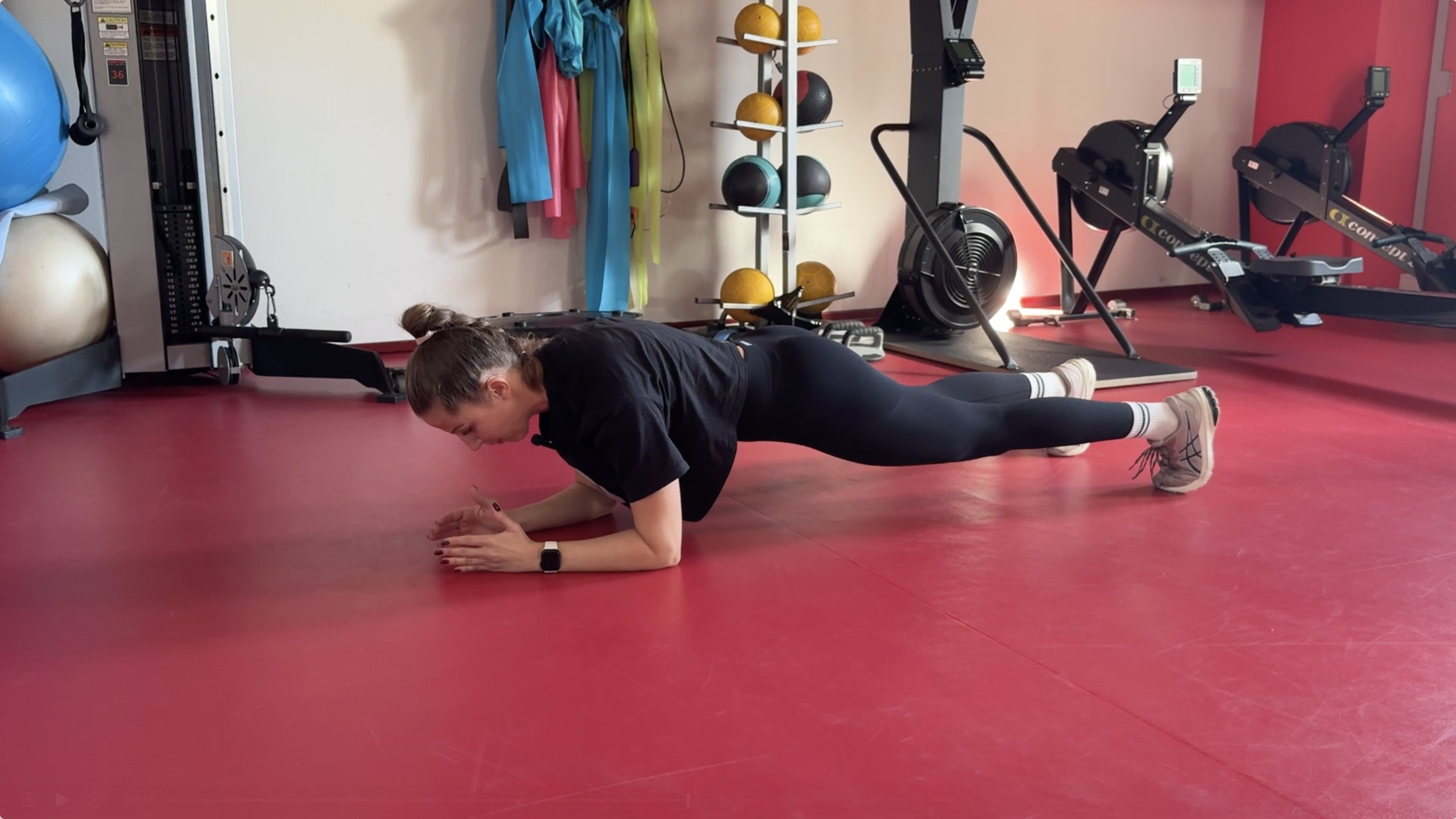 ALKAR PLANK