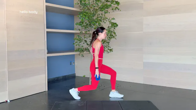 SF8