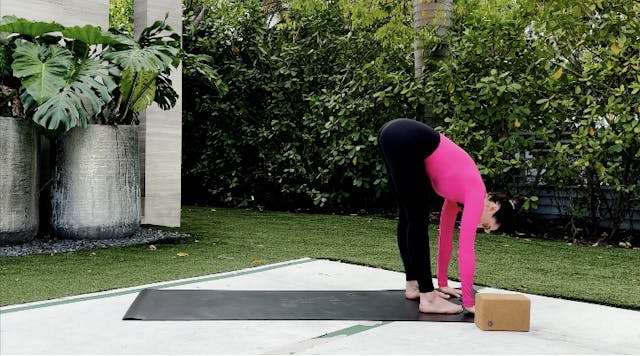 Quickie energy flow 