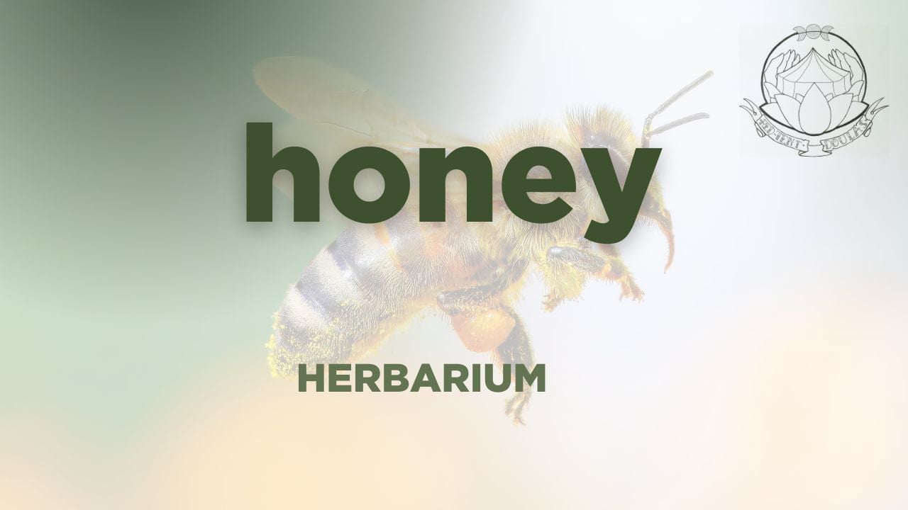 honey  herbarium class