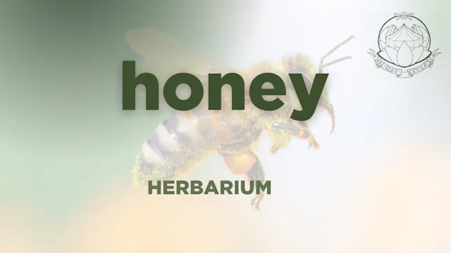 honey  herbarium class