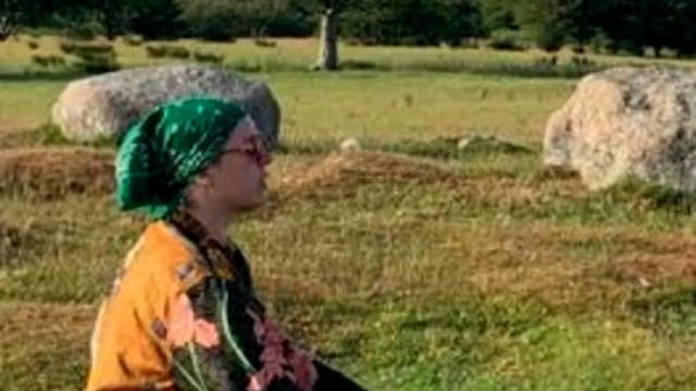 chickweed meditation - 17/04/2025, 11...