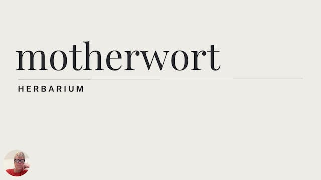 motherwort herbarium