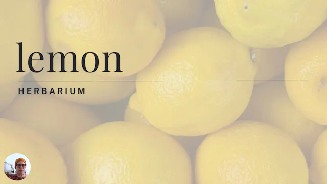 lemon herbarium