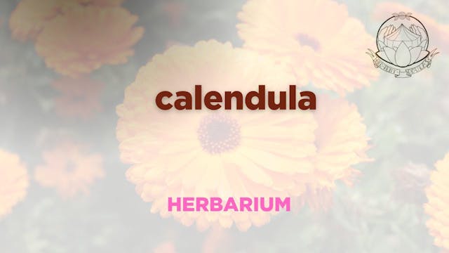 calendula herbarium