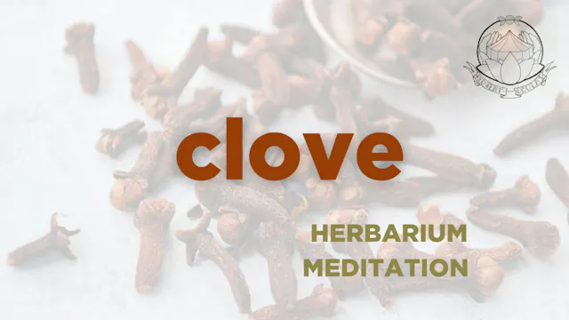 clove meditation - herbarium - octobe...