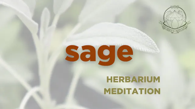 Sage meditation  - september 2025 - h...