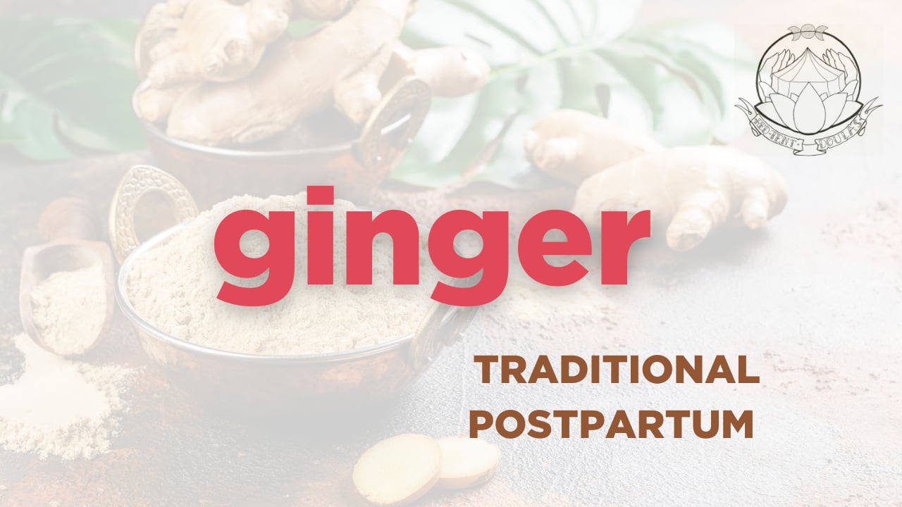 focus on ginger - traditional postpartum sessions