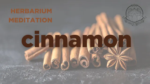 cinnamon meditation - december 2025 -...