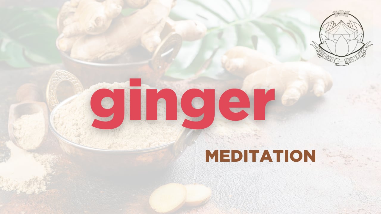 ginger - meditation - herbarium - 2025