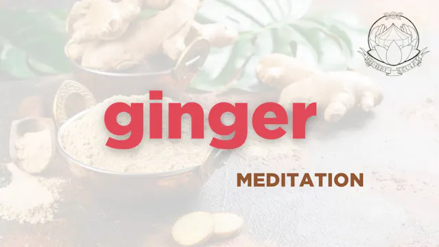 ginger - meditation - herbarium - 2025
