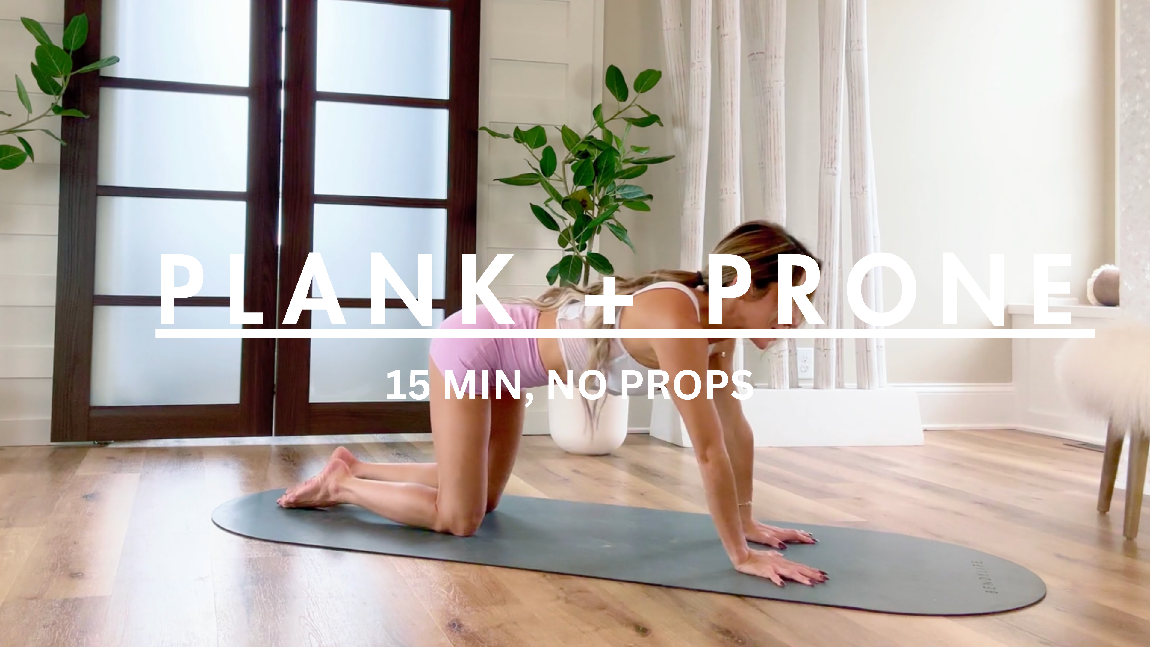 15 MIN: PLANK + PRONE NO PROPS