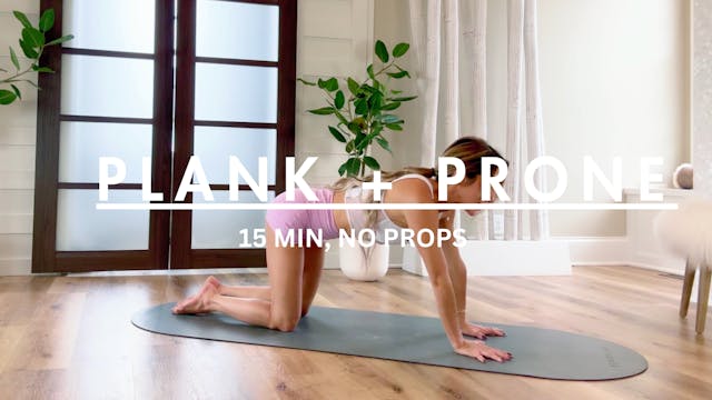 15 MIN: PLANK + PRONE NO PROPS
