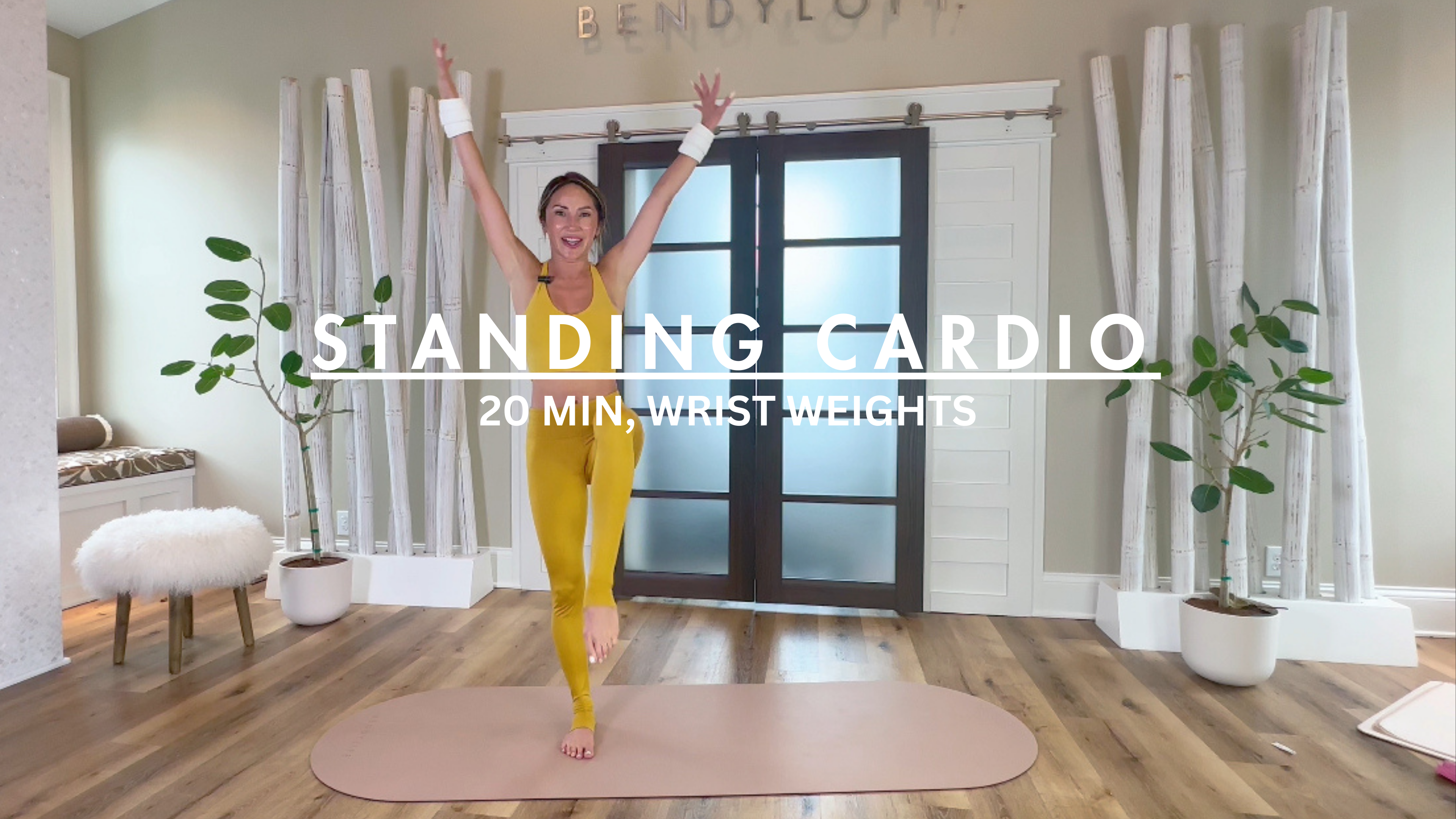 20 MIN: STANDING CARDIO W/WRIST WEIGHTS