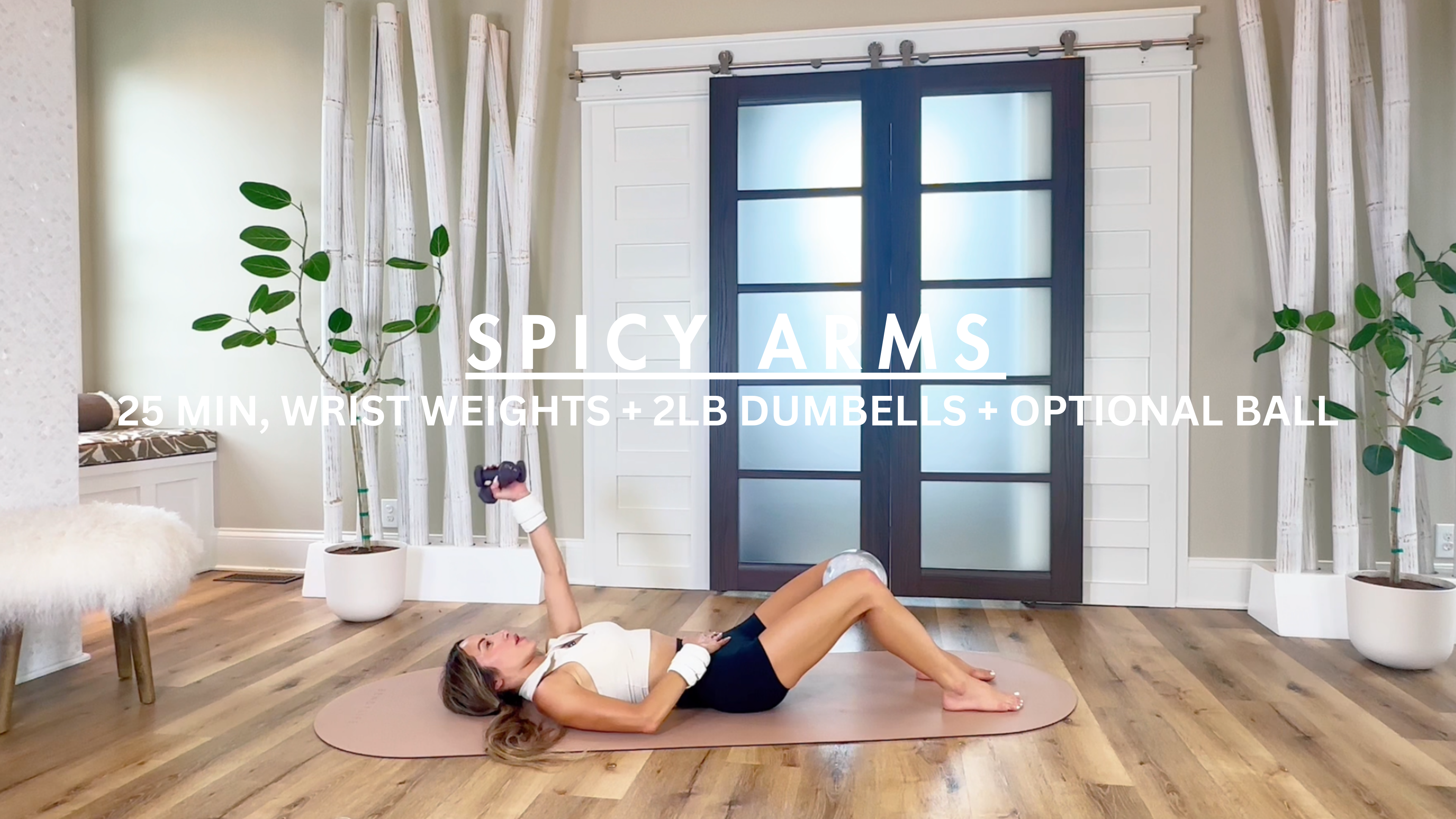 25 MIN: ARMS W/WRIST WEIGHTS + 2LB DUMBELLS + OPTIONAL BALL