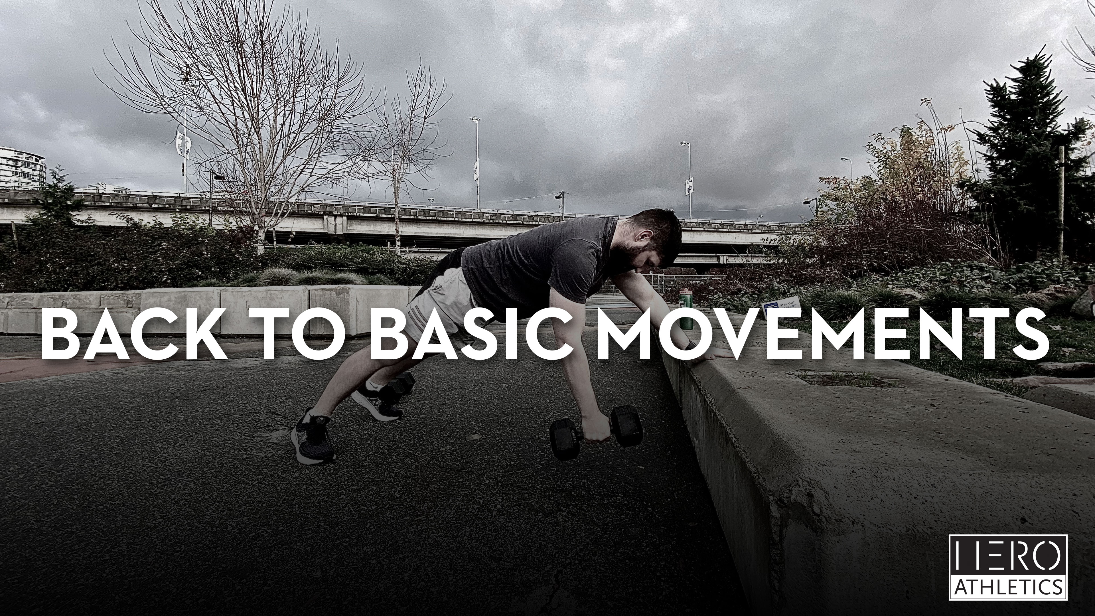 Back to Basic Movements