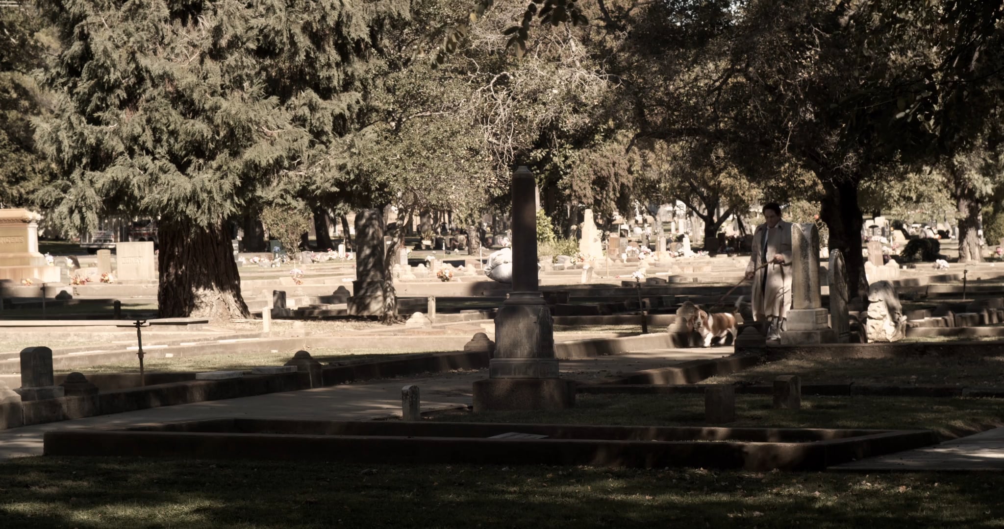 The Curious Case of the Murder that Wasn't!