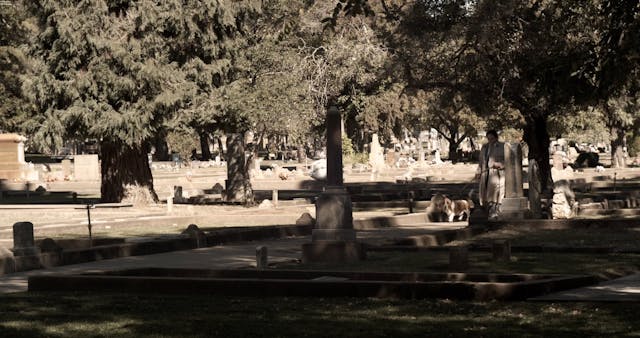 The Curious Case of the Murder that W...