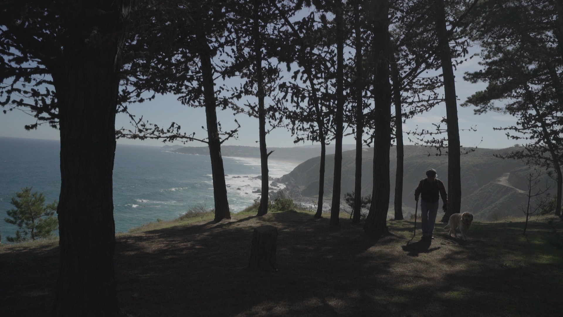 Lalo and the Naked Man