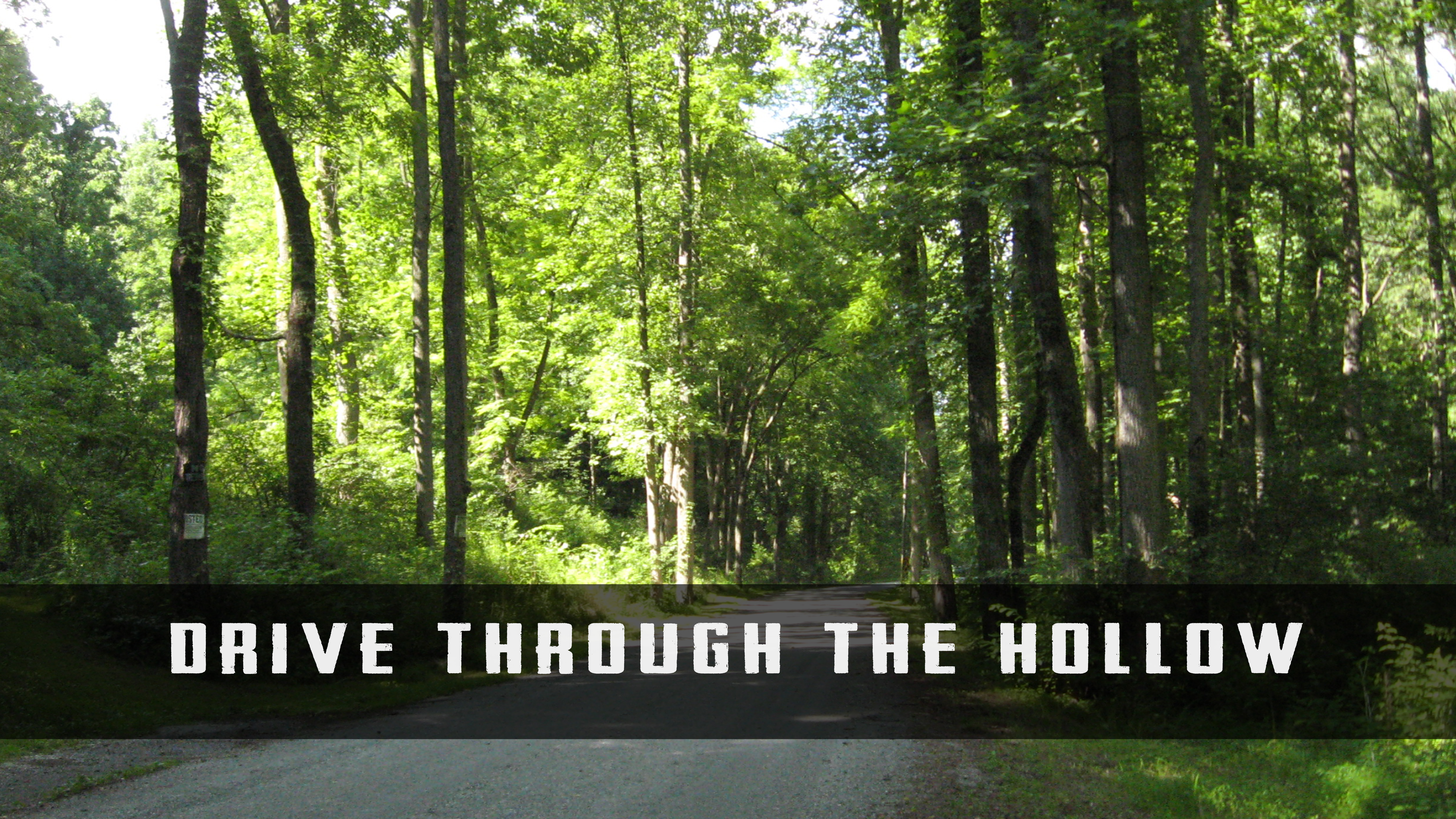 Hex Hollow: Drive Through the Hollow