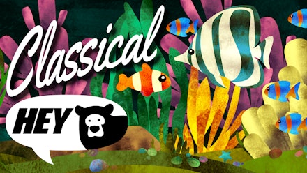 Hey Bear Sensory Video