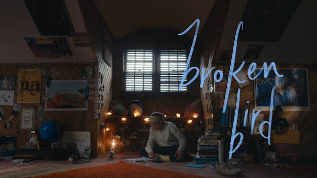 Broken Bird Trailer (P&I Only)