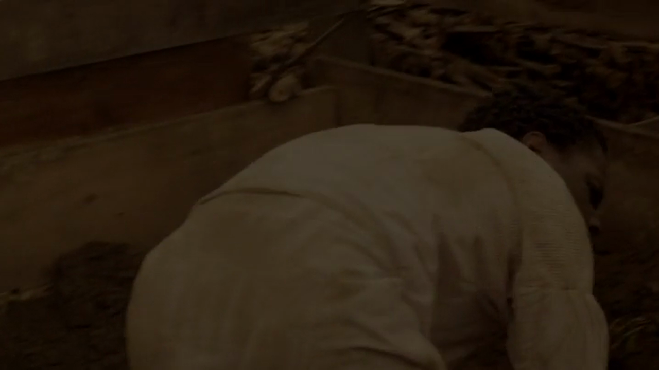 Tobacco Burn Trailer