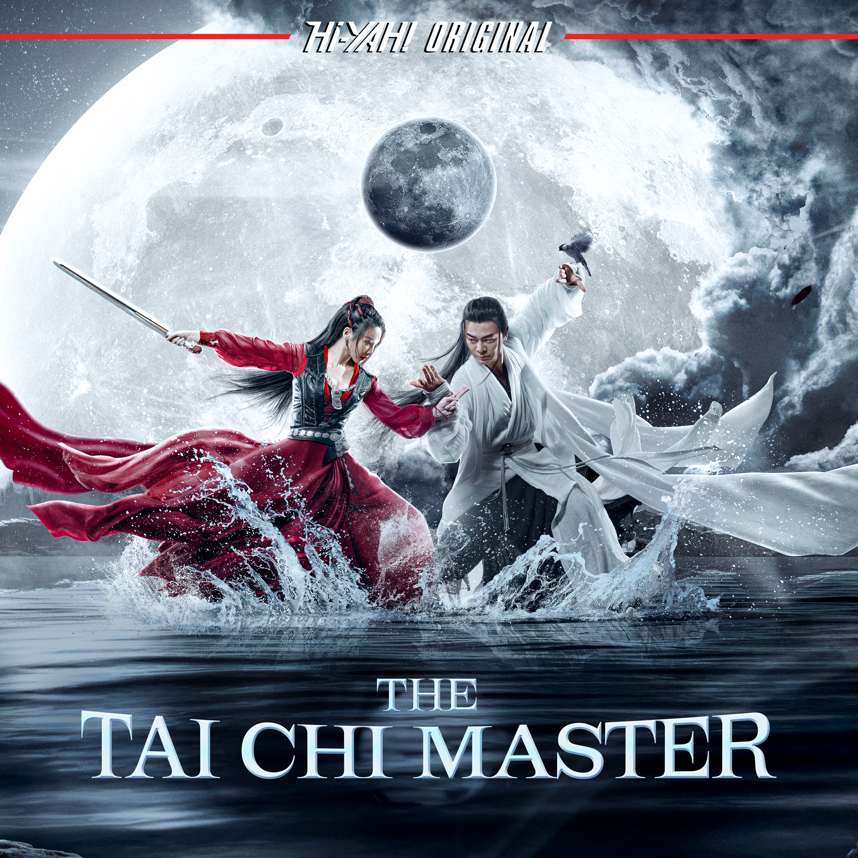 The Tai Chi Master