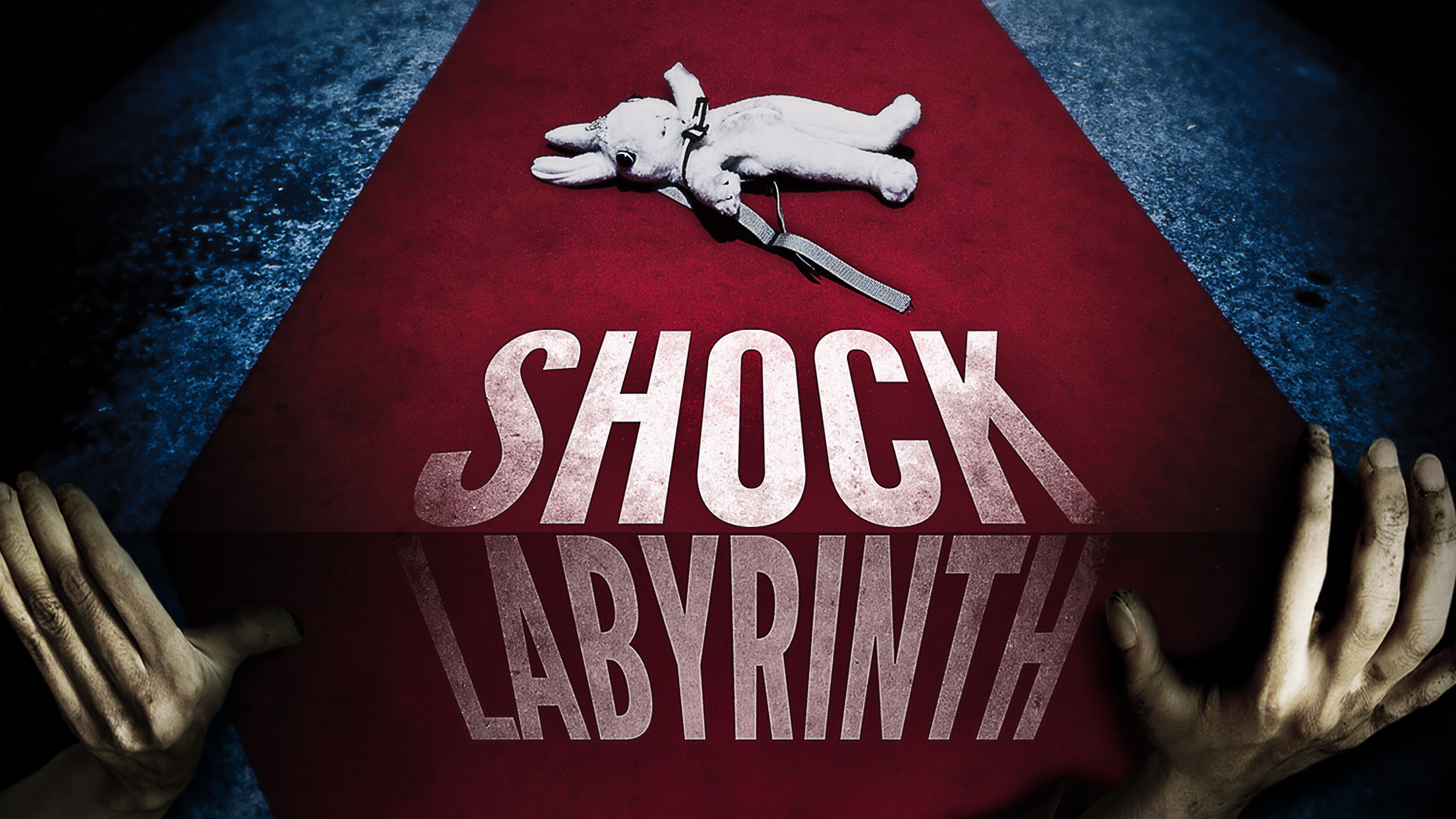 Shock Labyrinth