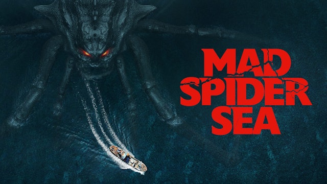 Mad Spider Sea