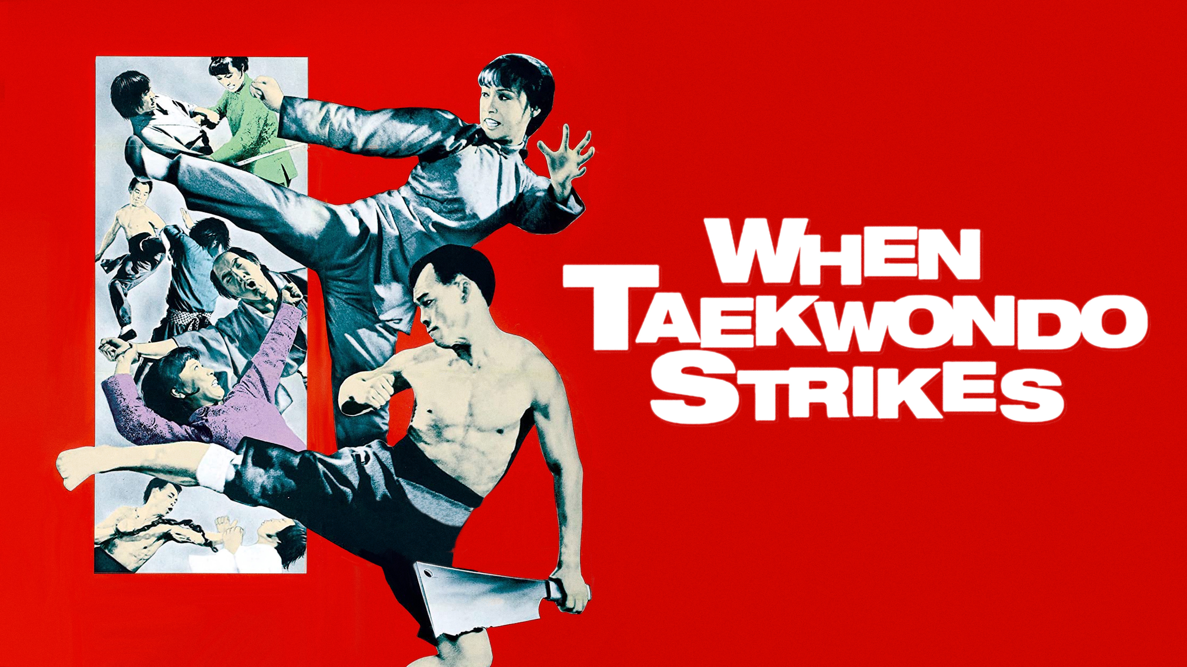 When Taekwondo Strikes (English Dub)