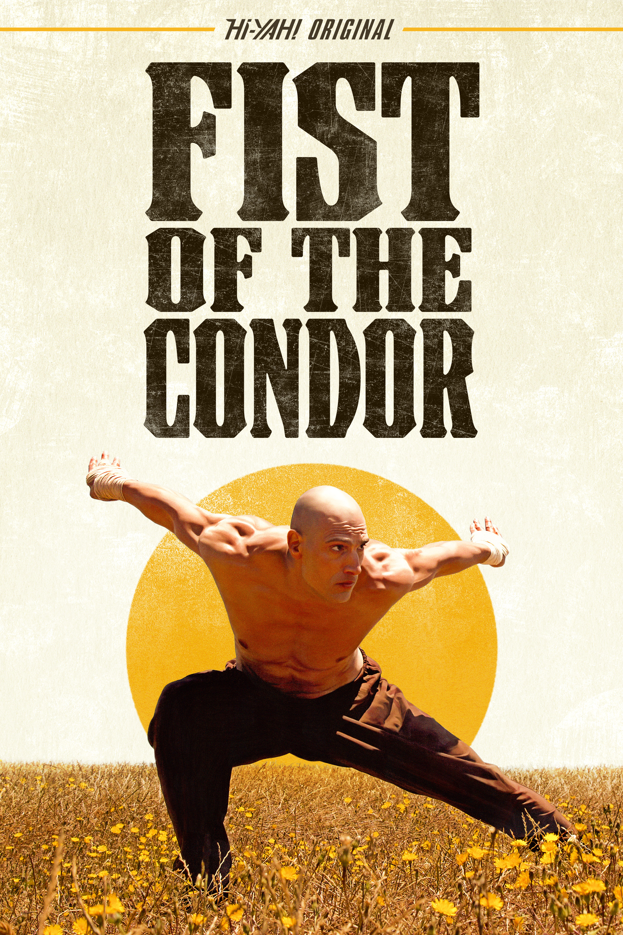 Fist of the Condor