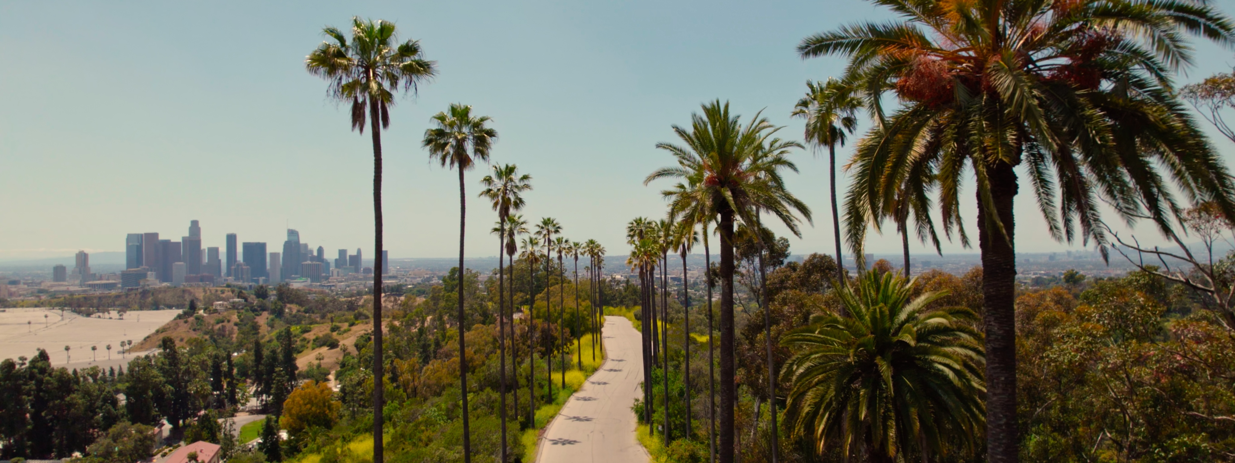 LA Commercial-2-Poster.jpg