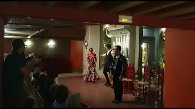 El mejor flamenco del mundo 2020-04-14