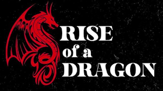 The Rise of a Dragon 