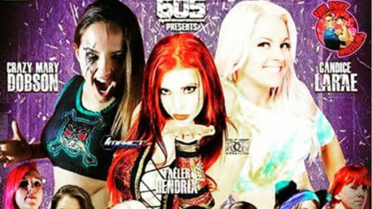 Girlfight Wrestling 6