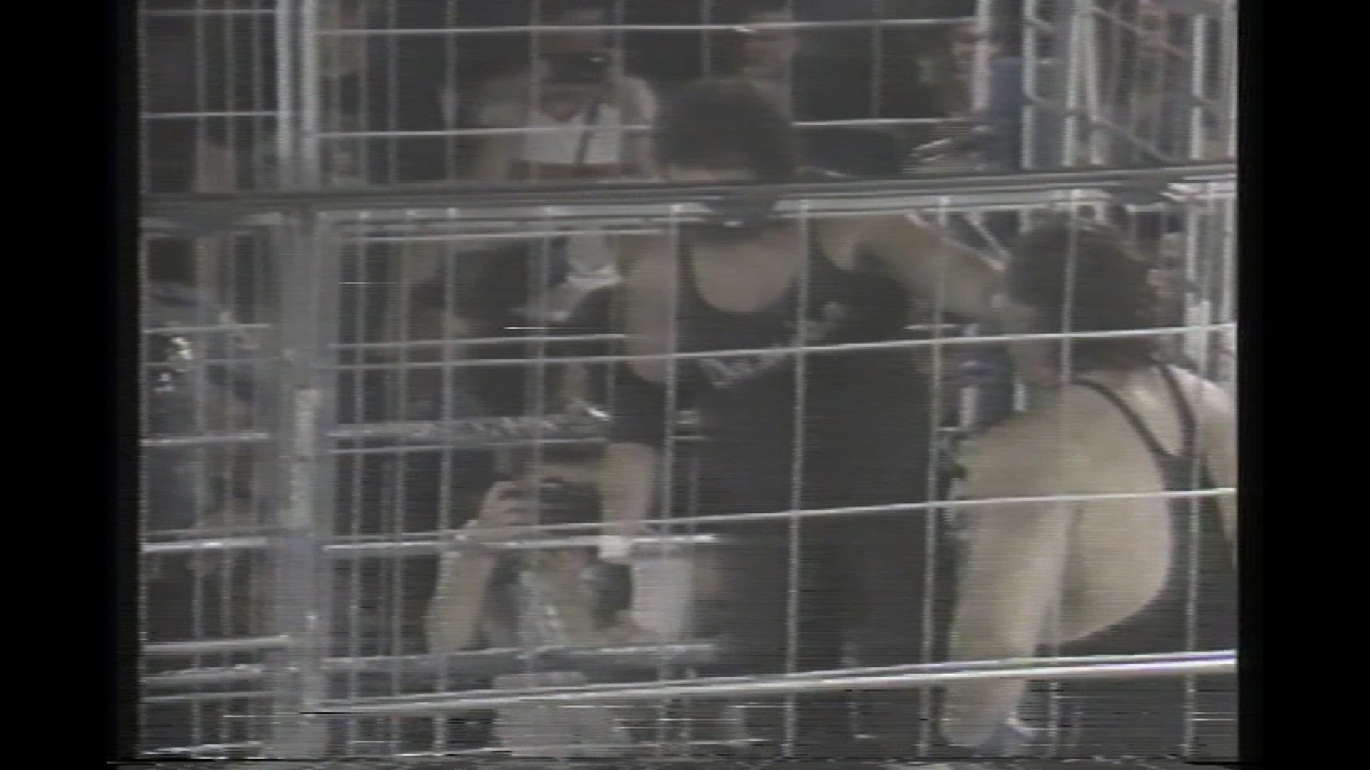 Rare Match: Bruiser Brody Cage Match