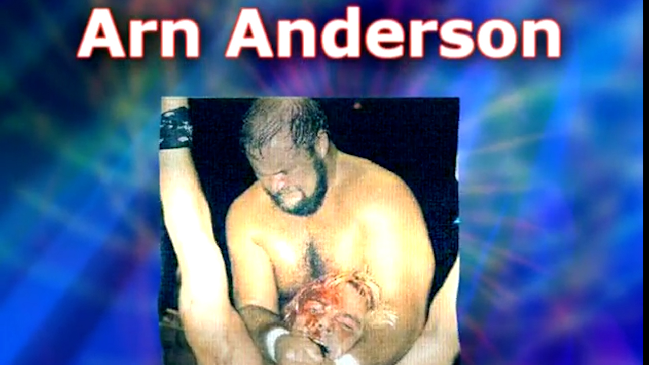Arn Anderson Interview