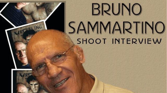 Bruno Sammartino Interview