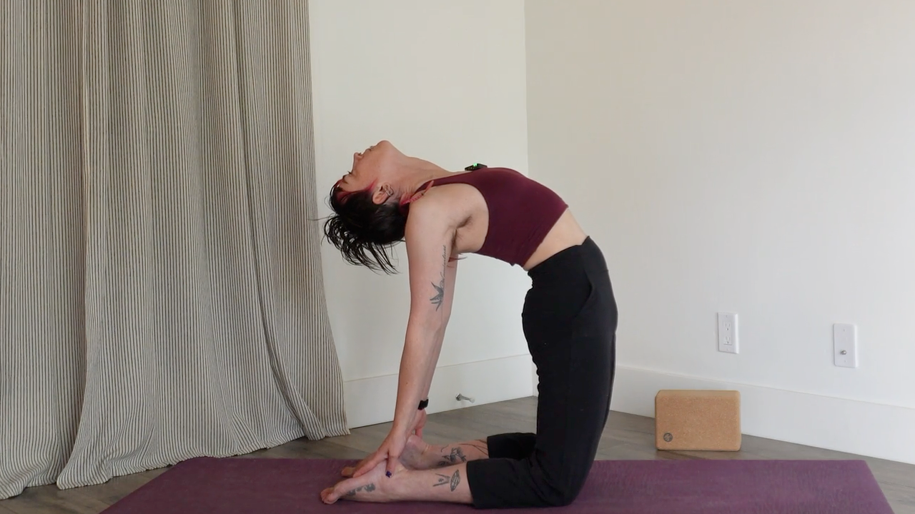 8 Limbs of Yoga Flows