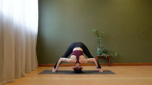 Prasarita Padottanasana A, B, C & D T...