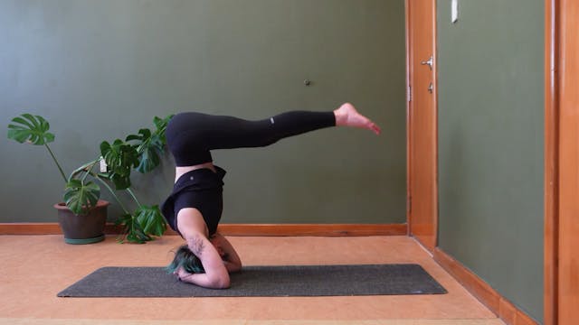 Headstand (Sirsasana) Prep