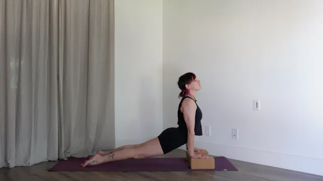 Day 3 Upper Body Challenge - Explorin...