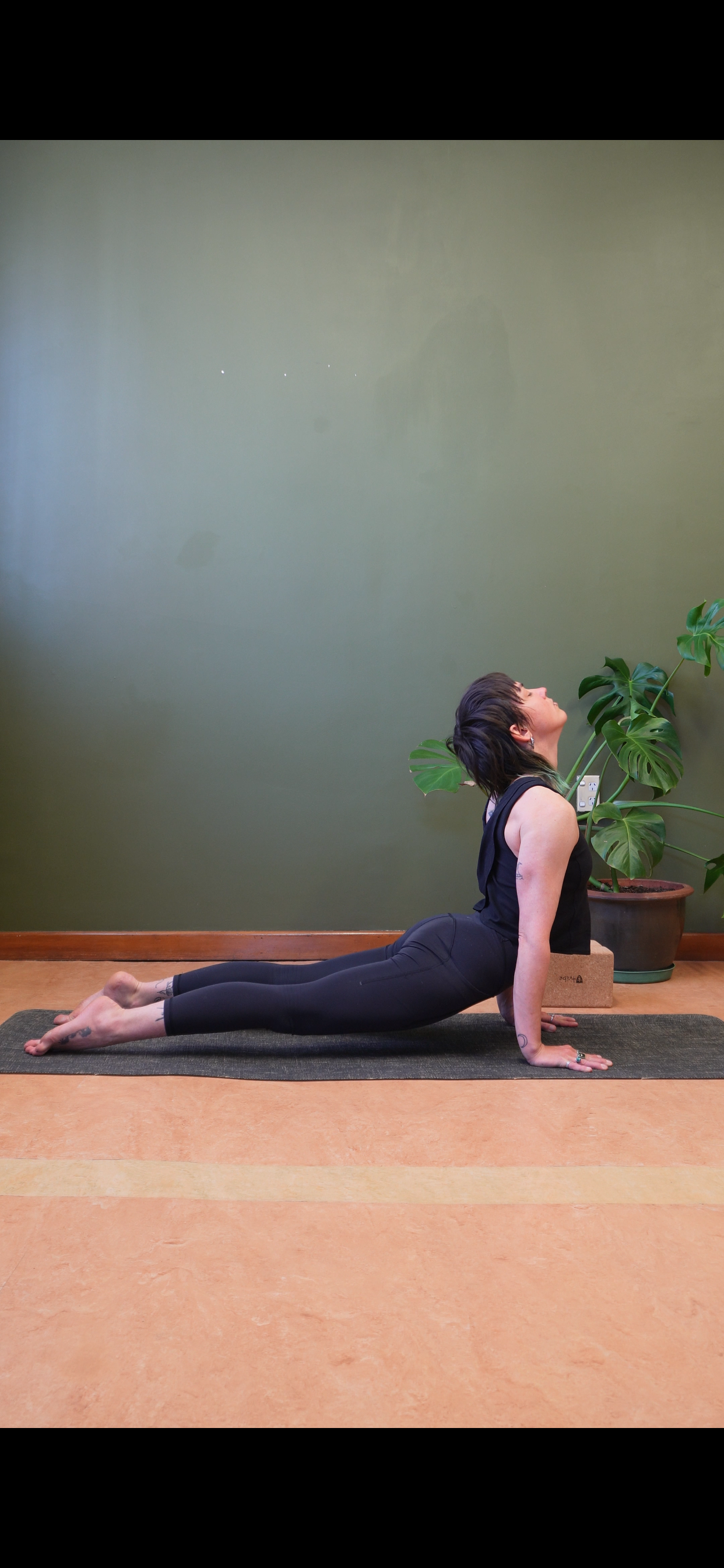 Transition - Cobra and Upward facing dog