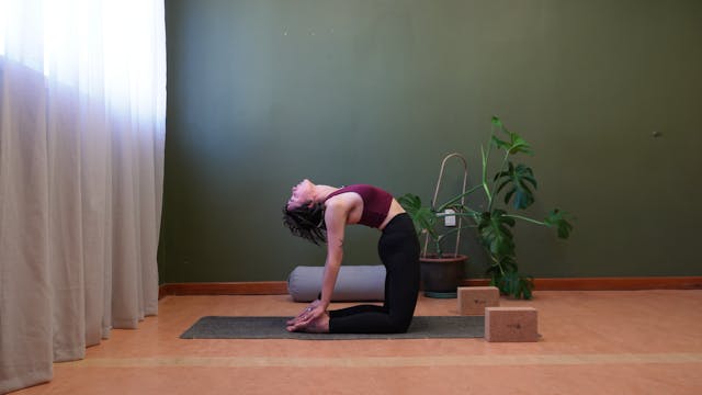 Ustrasana (Camel pose)