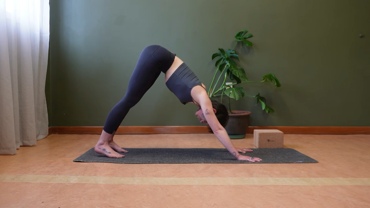 Transition - Jump forward from Adho Mukha Svanasana (downward facing dog)